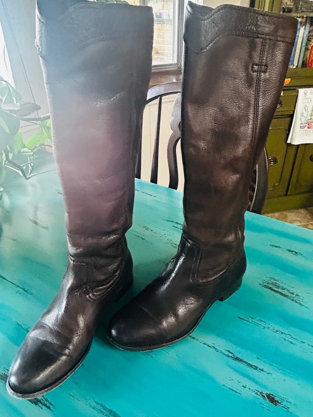 Frye Tall Leather Riding Boots in Dark Brown